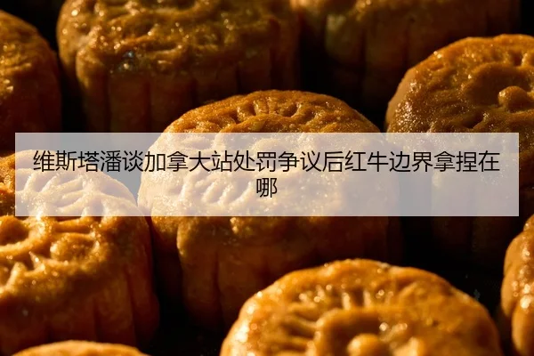 维斯塔潘谈加拿大站处罚争议后红牛边界拿捏在哪
