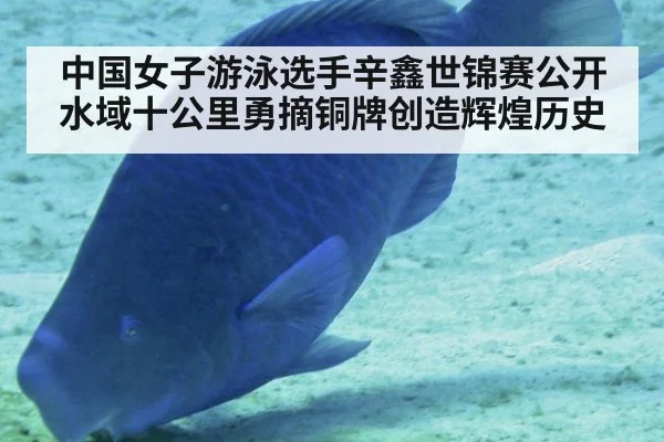 中国女子游泳选手辛鑫世锦赛公开水域十公里勇摘铜牌创造辉煌历史